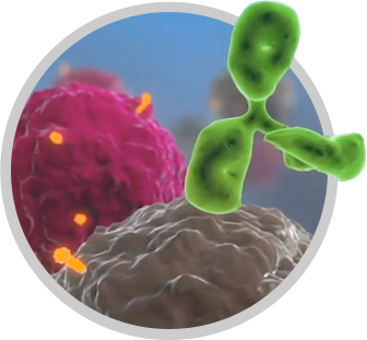 Cells
